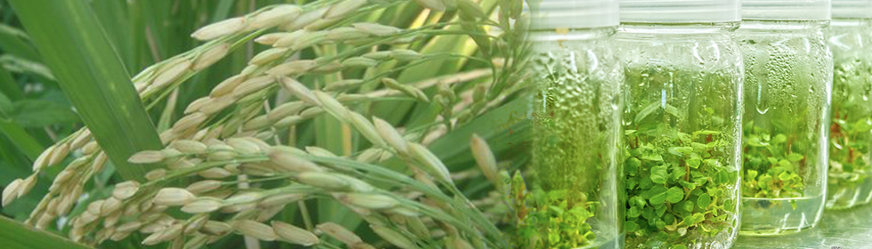 Biotechnology